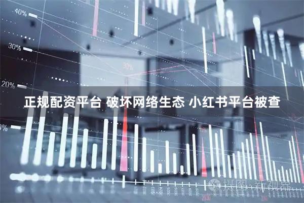 正规配资平台 破坏网络生态 小红书平台被查